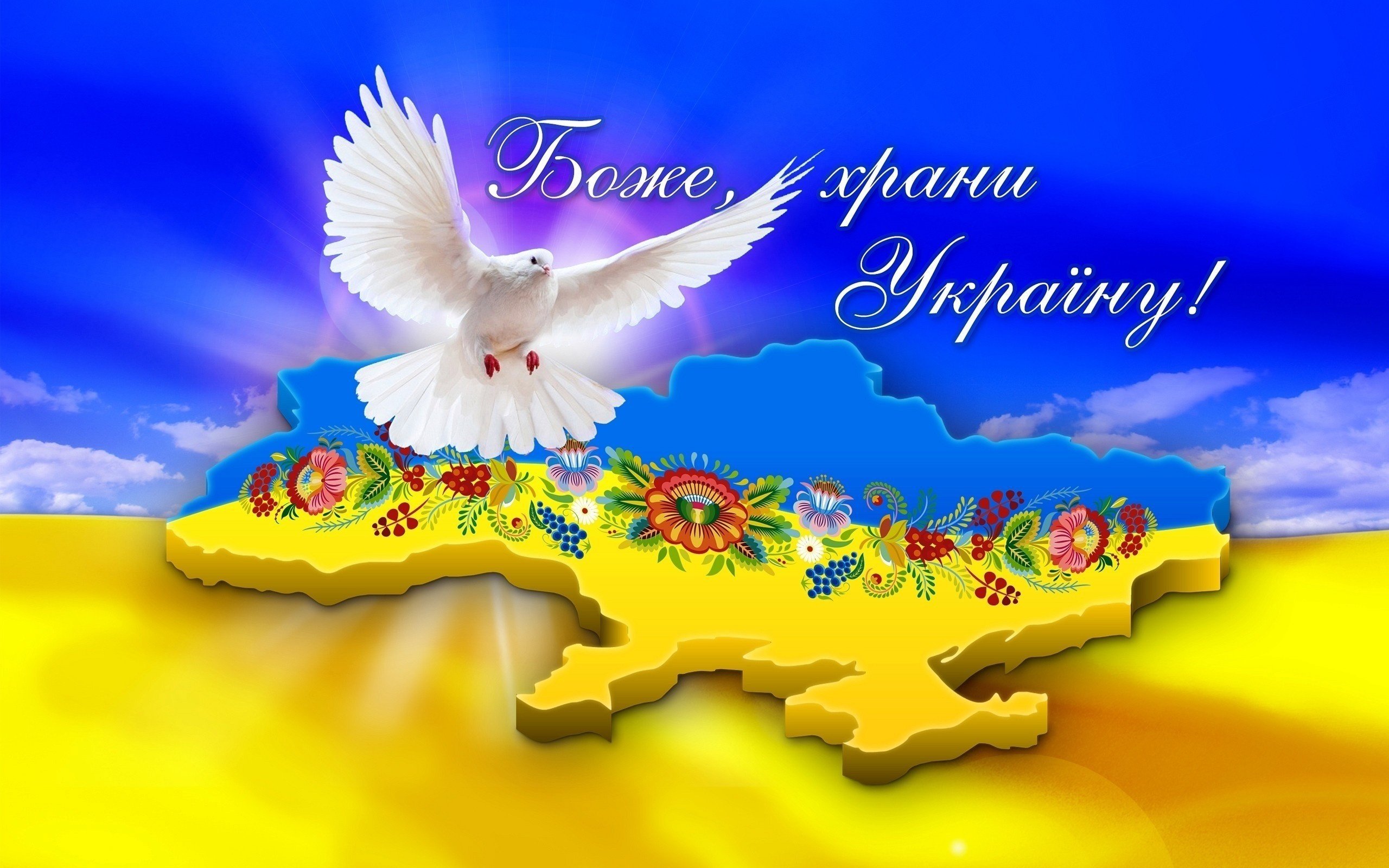 Ukraine A Country Patterns Lettering Words Dove Blue Yellow Wallpaper