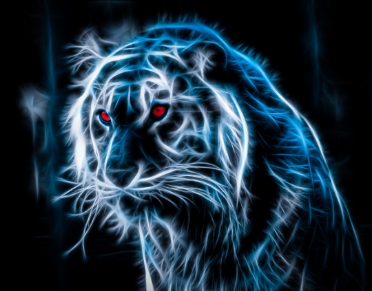 Cats Blue Neon Tiger Fractal Wallpaper Desktop