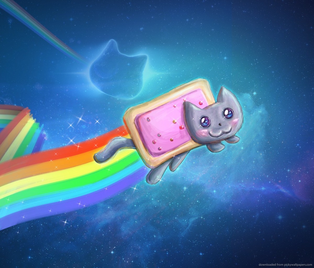 Featured image of post Iphone Wallpaper Galaxy Cat / Download, share or upload your own one!
