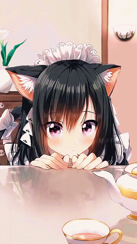 Free download Anime Cat Girl live wallpaper [540x960] for your Desktop,  Mobile & Tablet | Explore 14+ Cat Girl Phone Wallpapers | Cat Backgrounds,  Cat Wallpapers, Hell Girl Wallpaper
