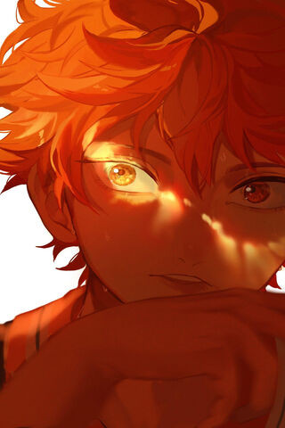 Shoyo Hinata Wallpaper