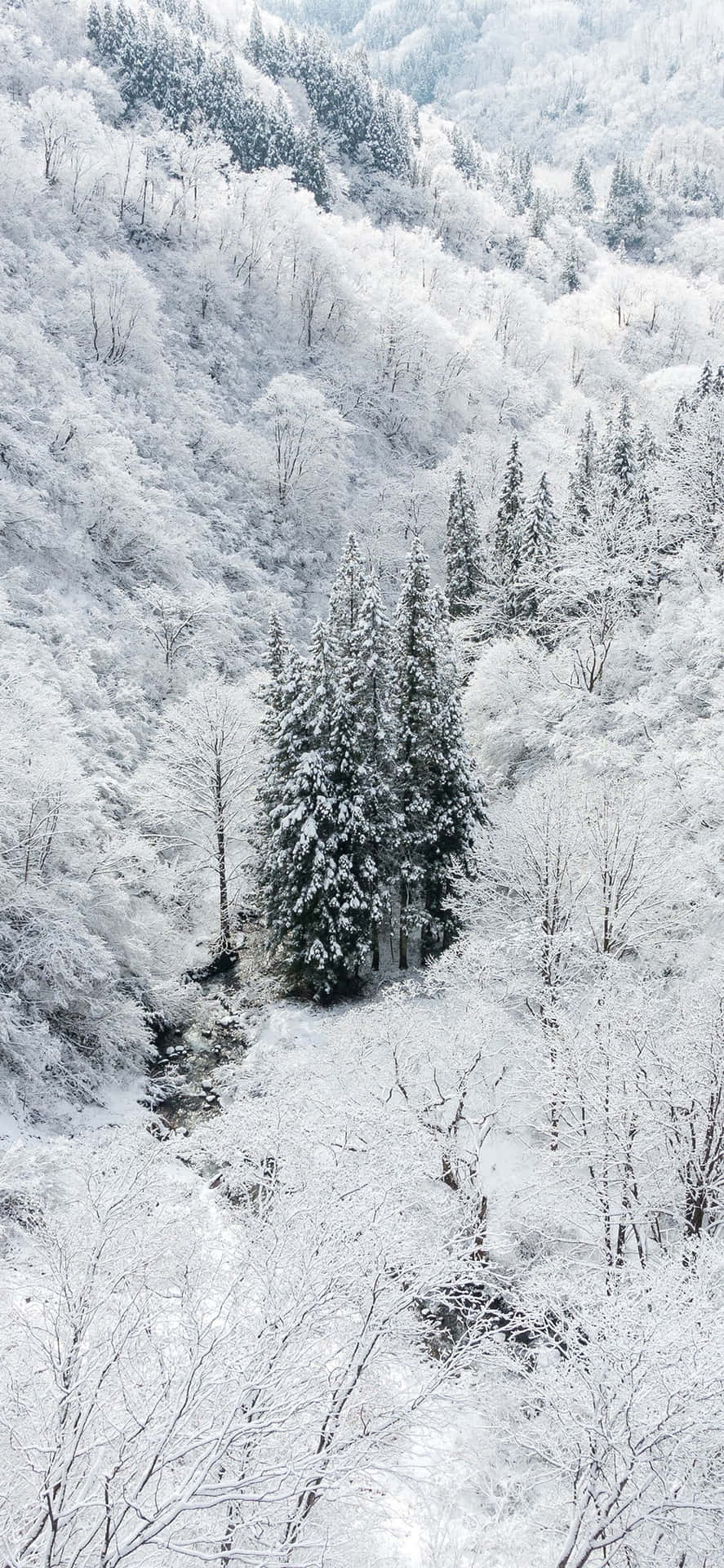 Snow iPhone Wallpaper