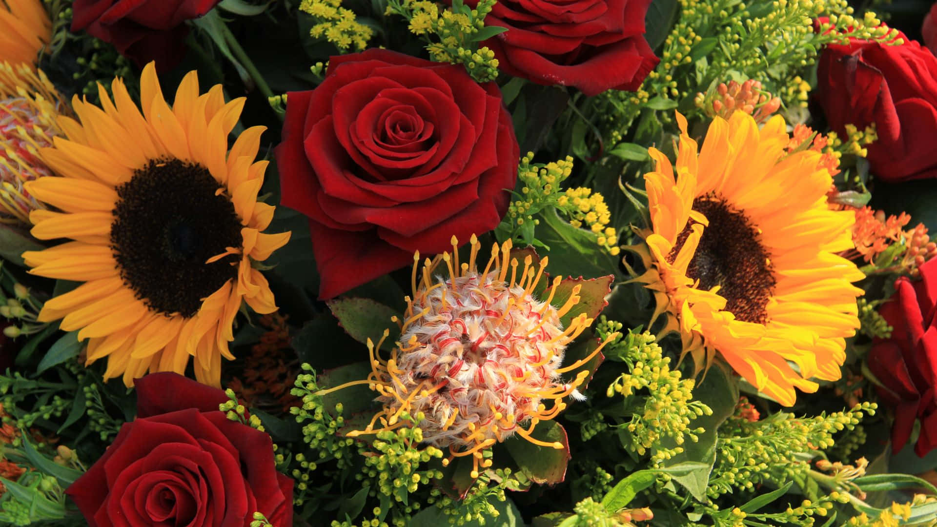 Sunflowers And Roses Wallpaper