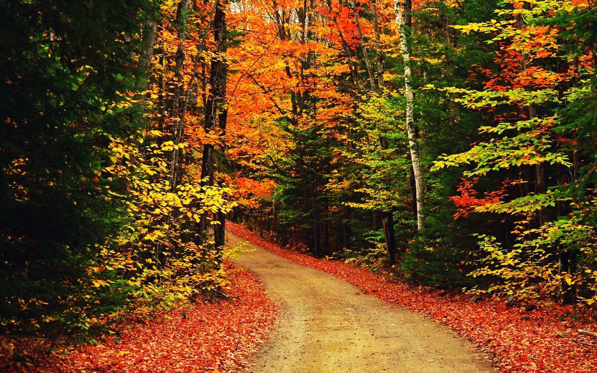 Desktop Wallpaper Fall Scenes