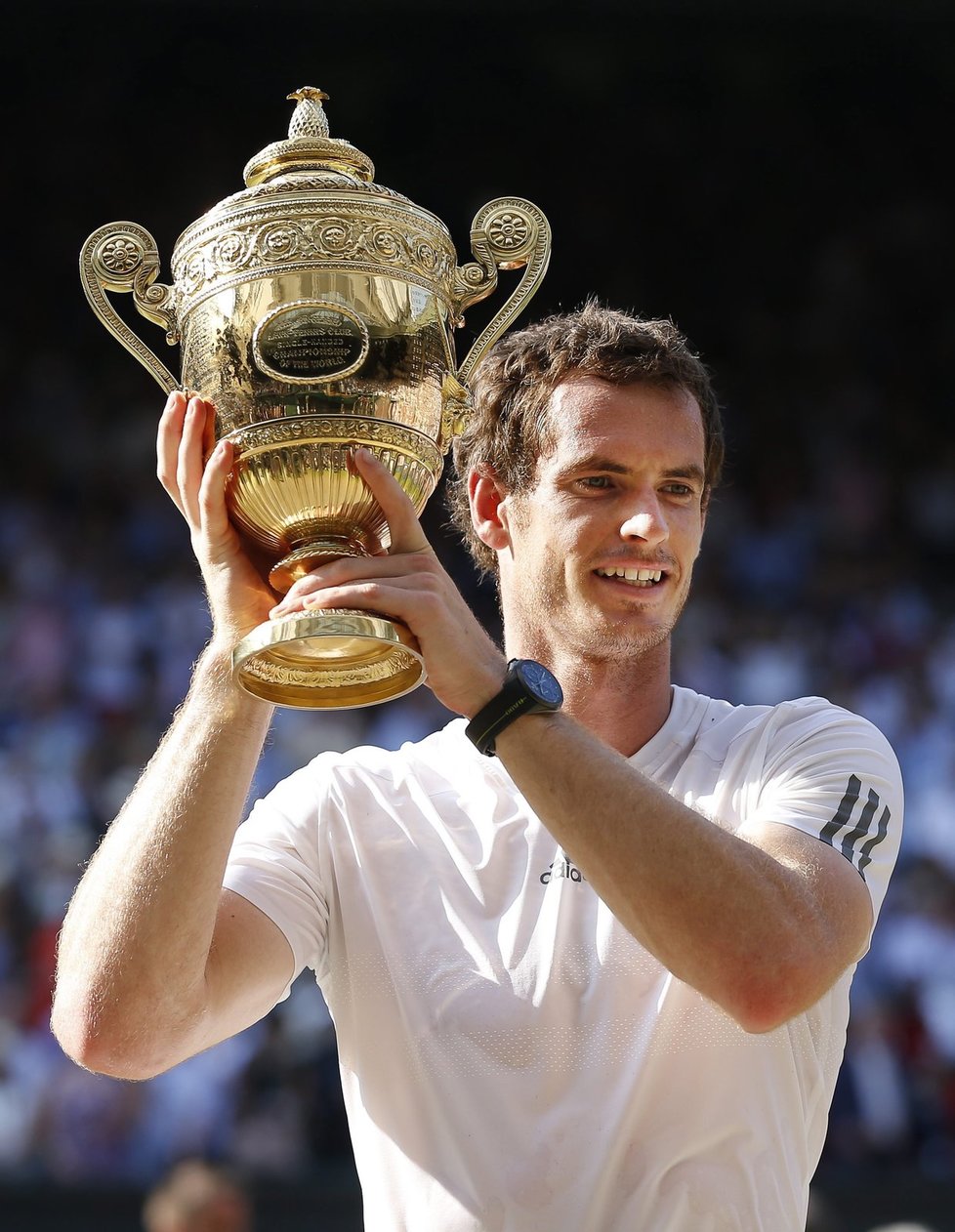 Andy Murray Image Wimbledon HD Wallpaper And