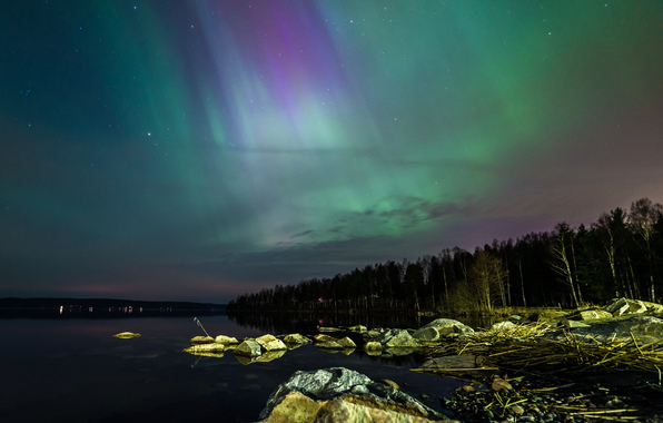 Wallpaper Sweden Northern Lights Sky Stars Trees Rocks