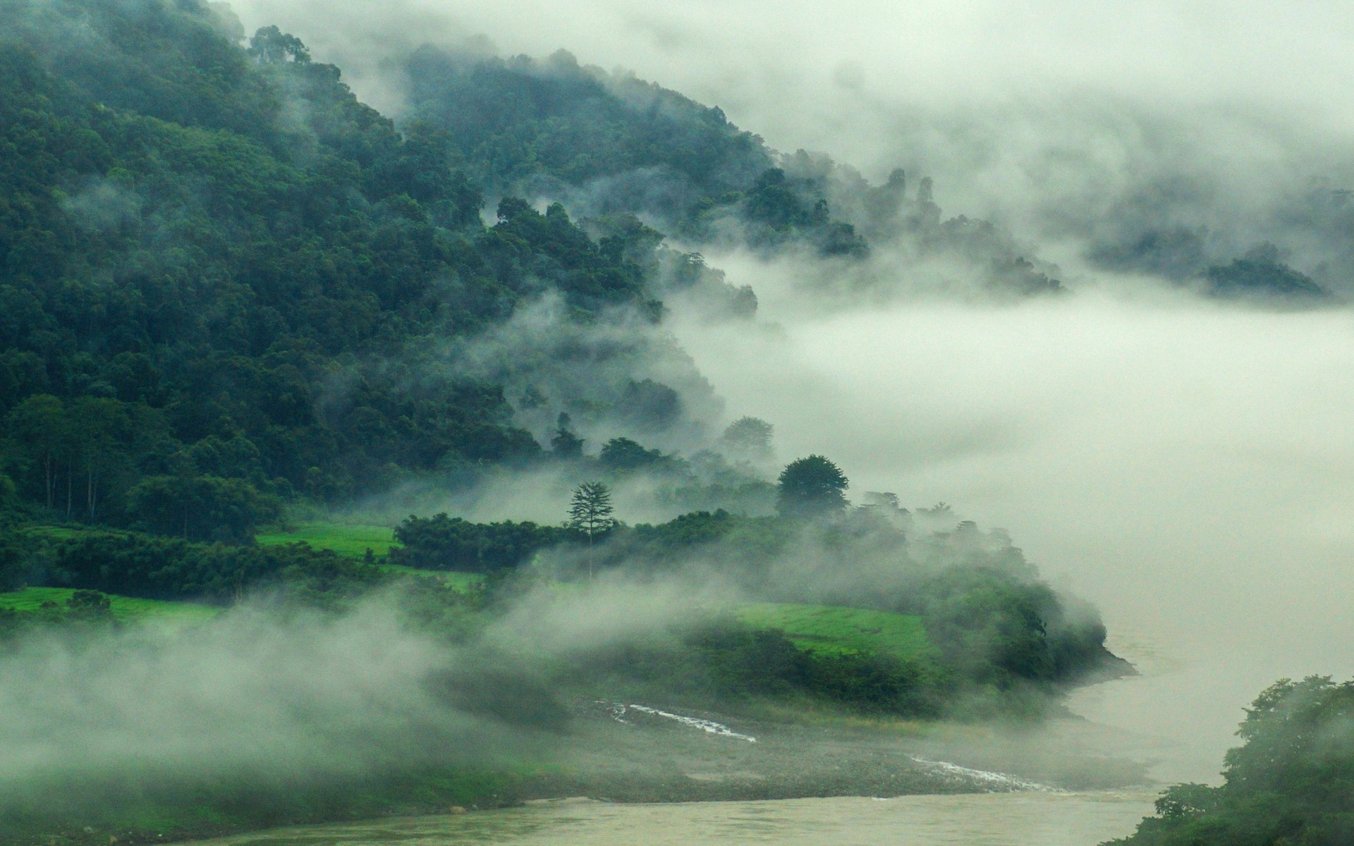 Nature Mist Landscape River Mountain Forest India Spring