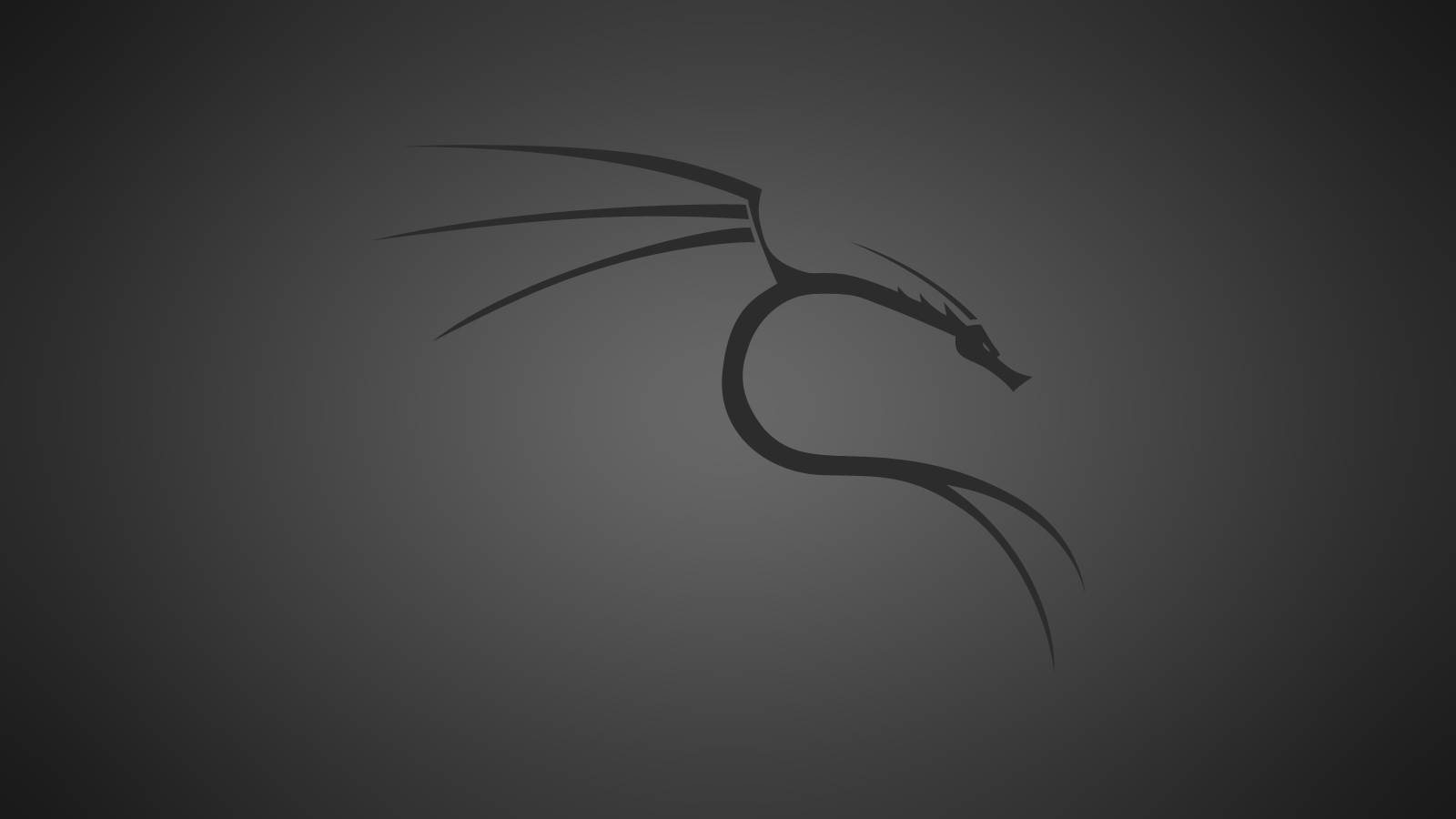 Kali Linux Wallpaper