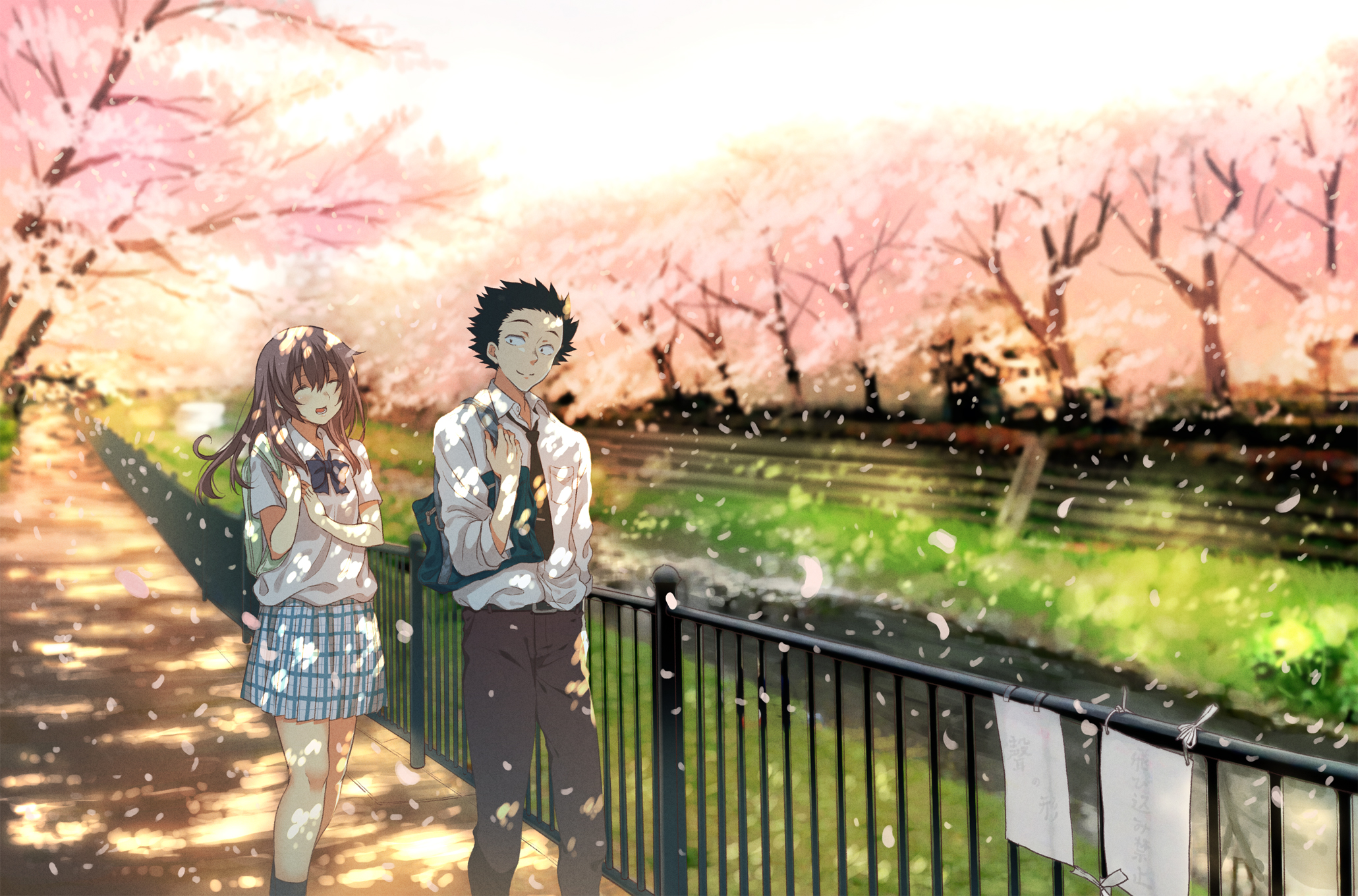 Shouko Nishimiya HD Wallpaper Background Image