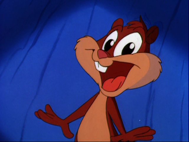 Skippy Squirrel Warner Bros Animation Wiki