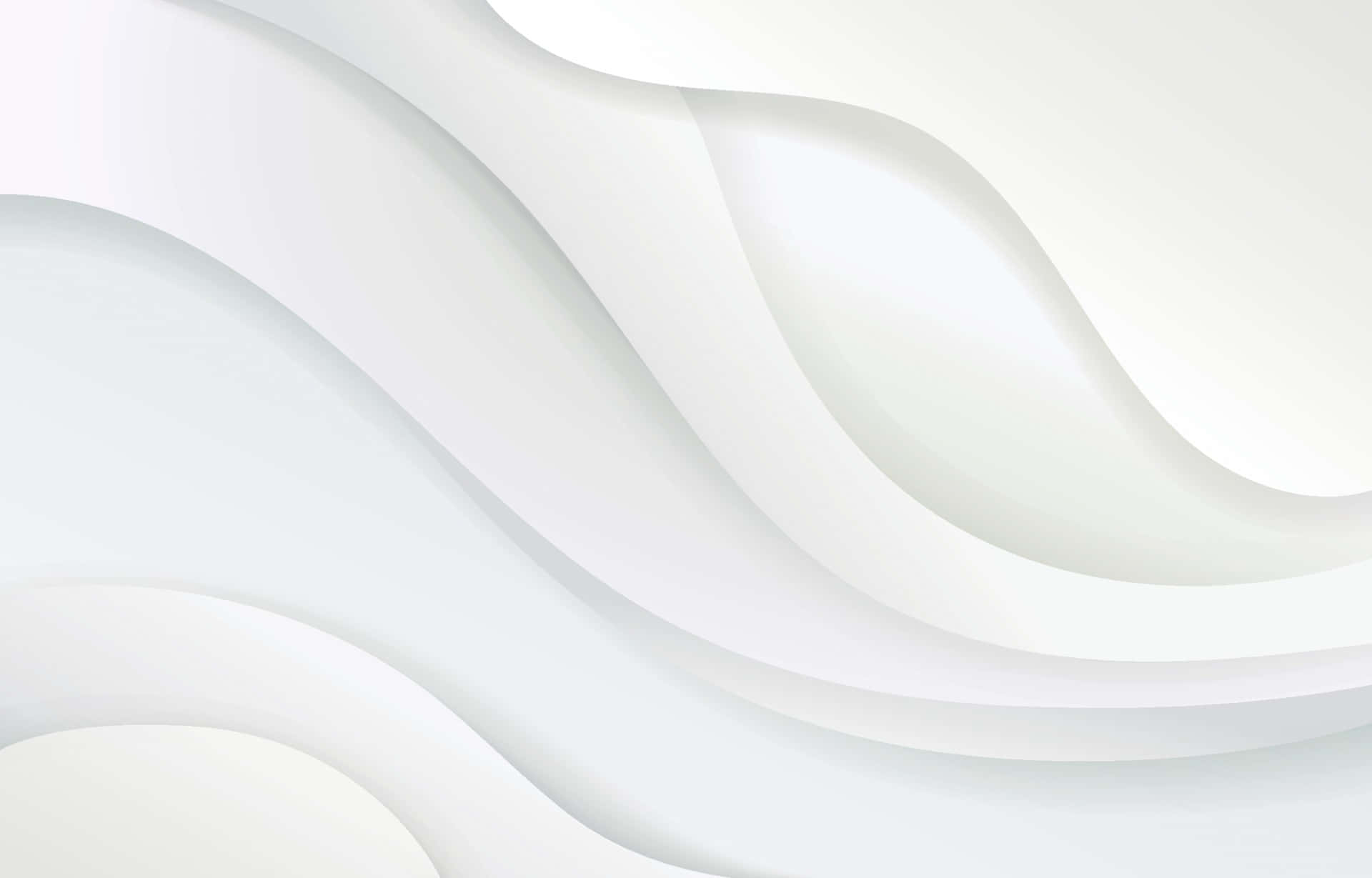 White Plain Background Wallpaper