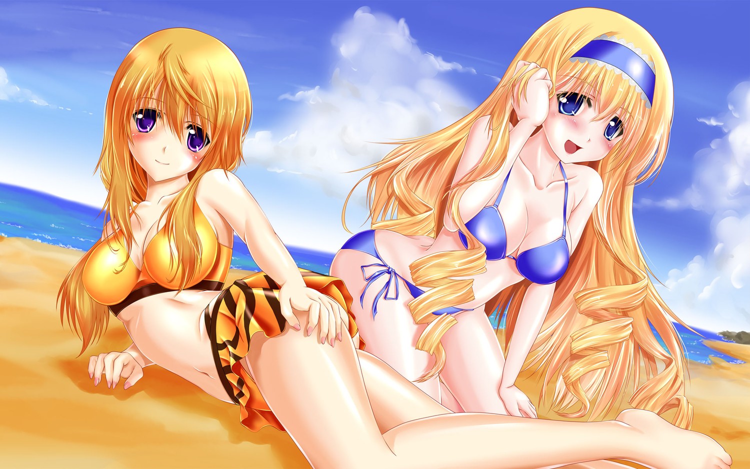 Infinite Stratos Dunois Charlotte Swimsuits Alcott Cecilia Anime HD