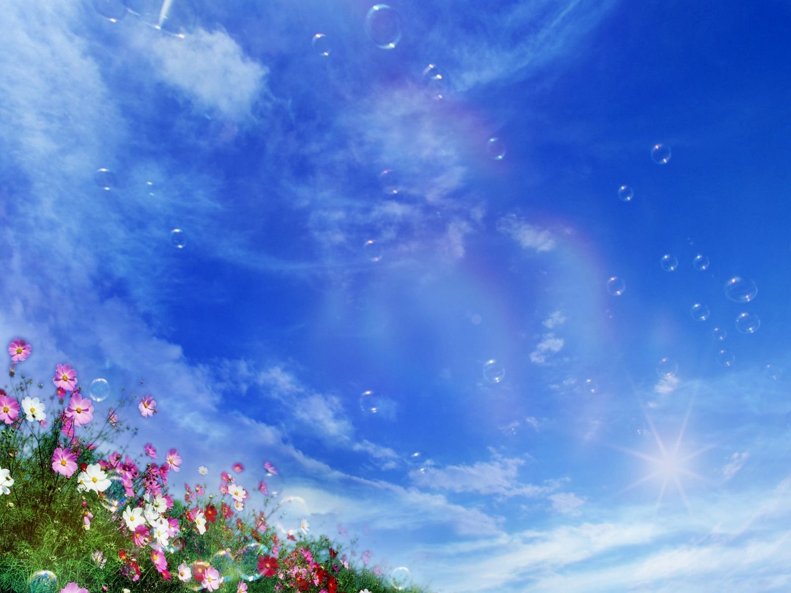 Nature S Tranquil Beauty Wallpaper