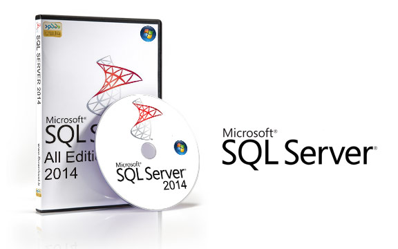 Microsoft Sql Server 2014 Foto Artis   Candydoll