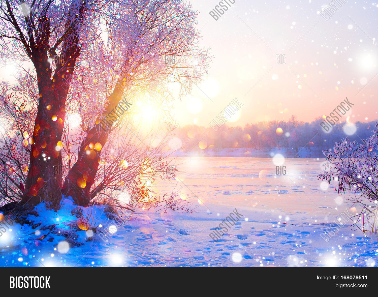 Beautiful Winter Image Photo Trial Bigstock