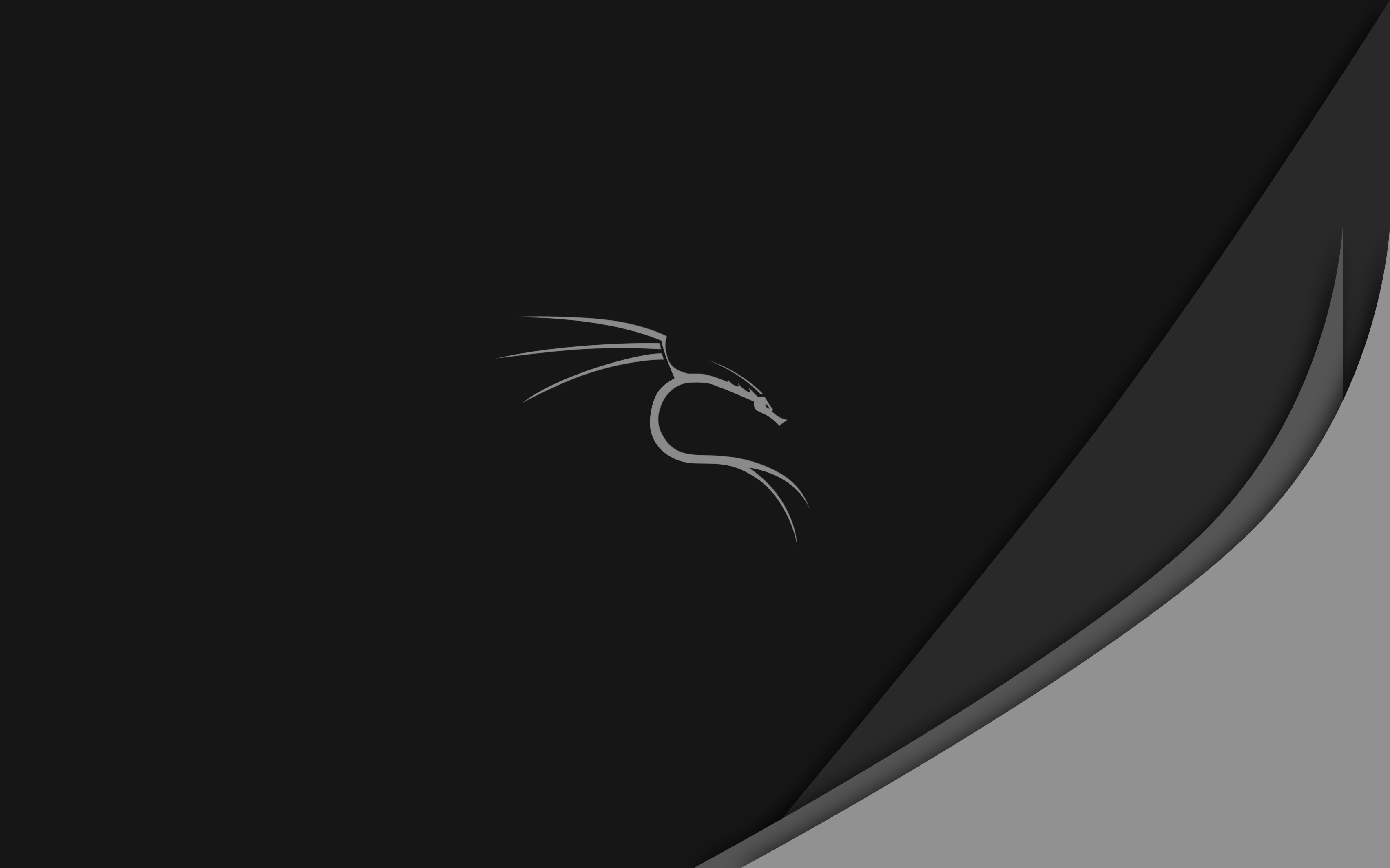 Kali Linux Wallpaper