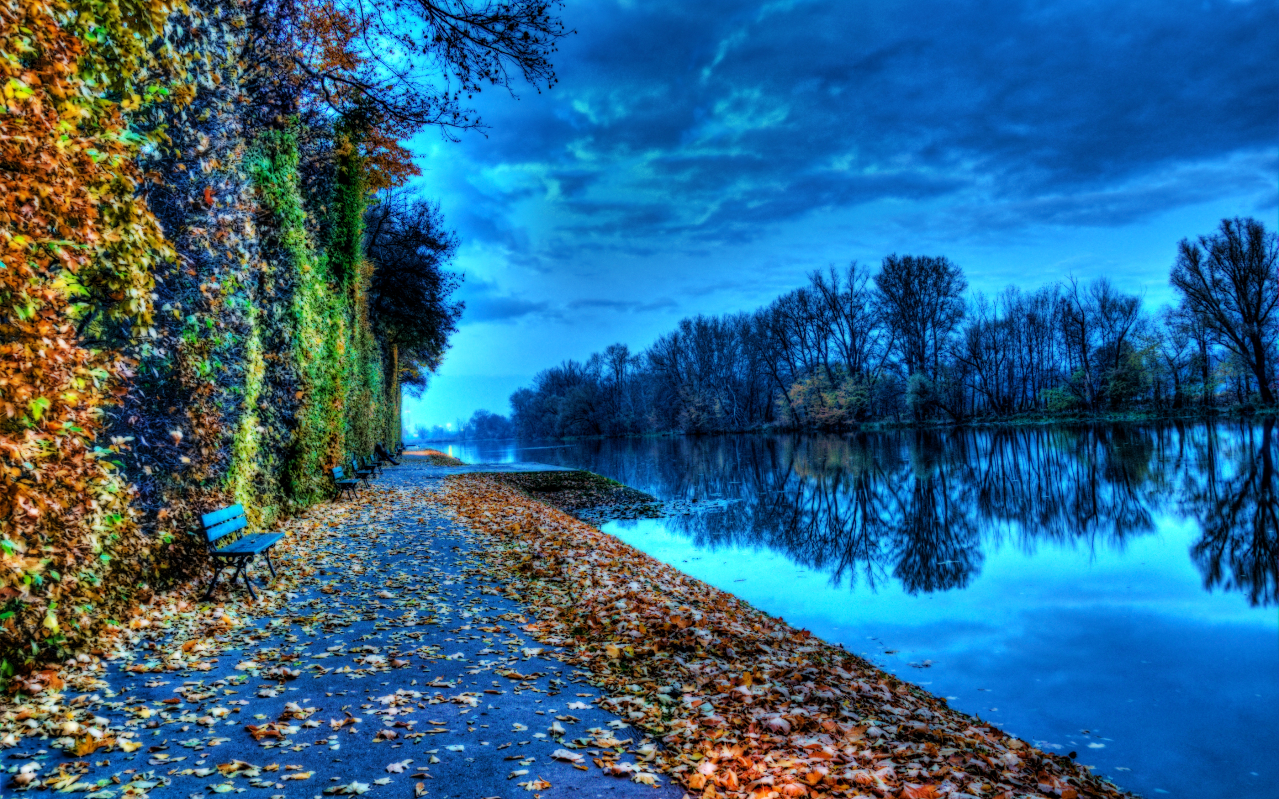 Photo Wallpaper