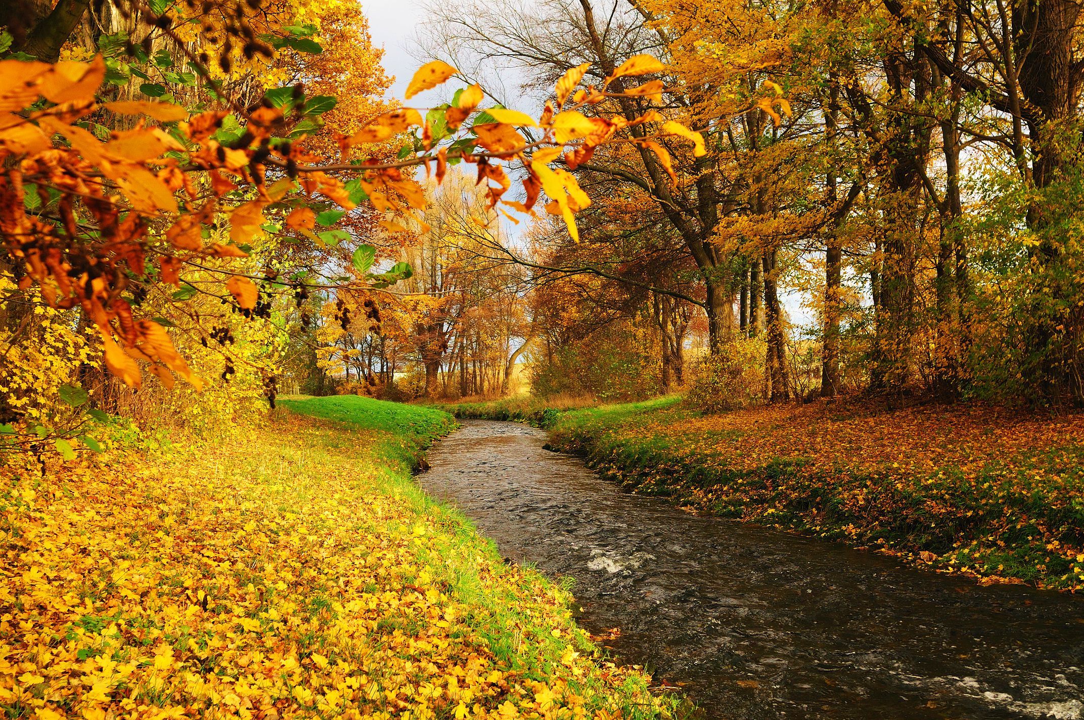 Autumn Trees Foliage River Stream Wallpaper Nature