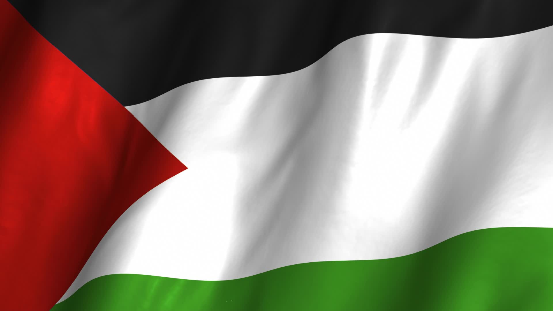 Palestine Flag Wallpaper MixHD