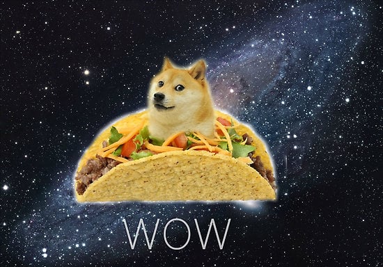 Oh Wow so Doge The Meme of the Day Trigger Plug