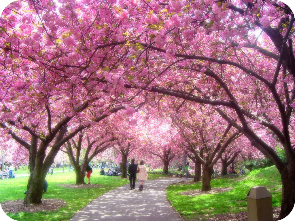 Spring Scene Wallpaper Related Keywords Amp Suggestions