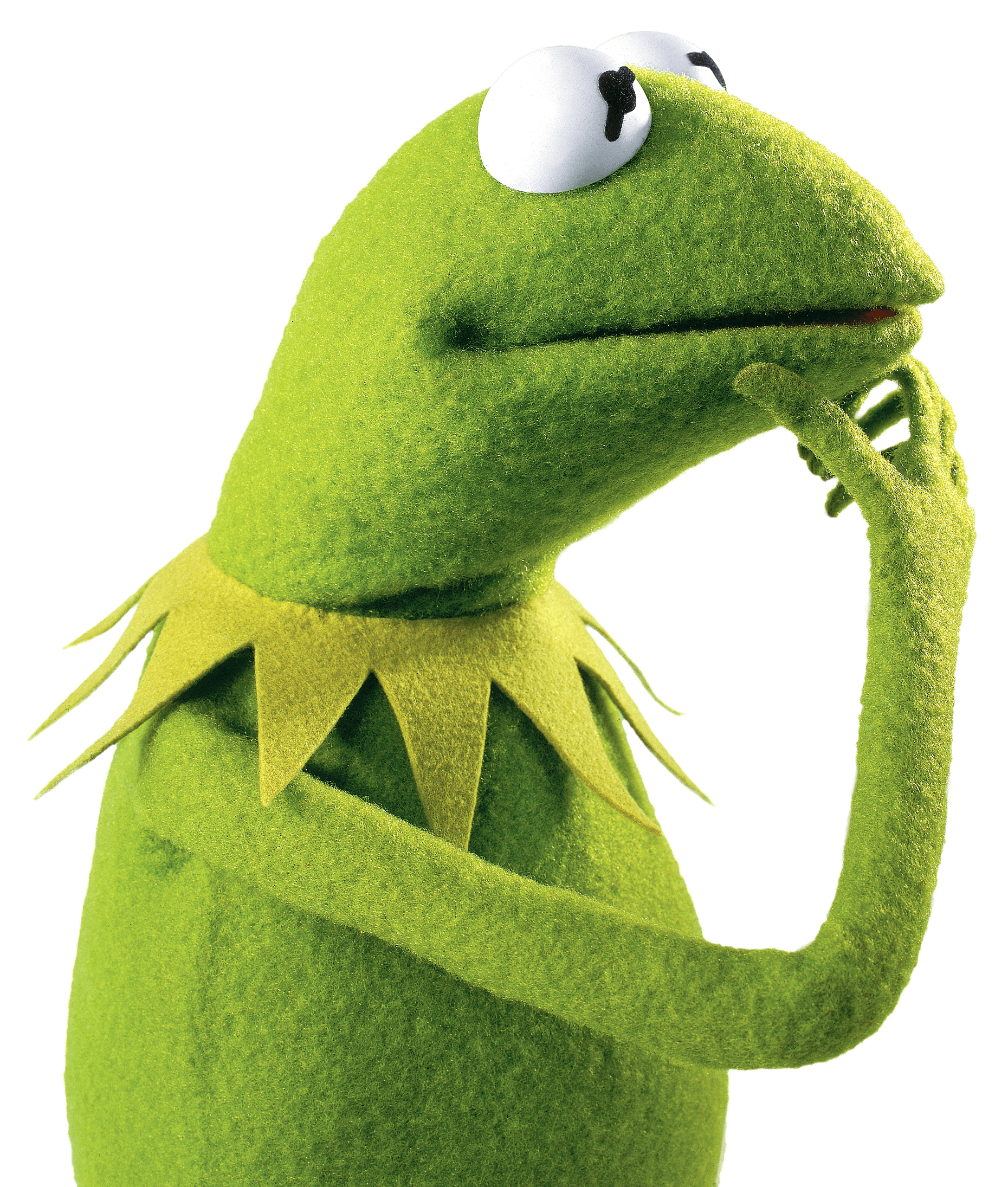 Kermit The Frog HD Wallpaper On