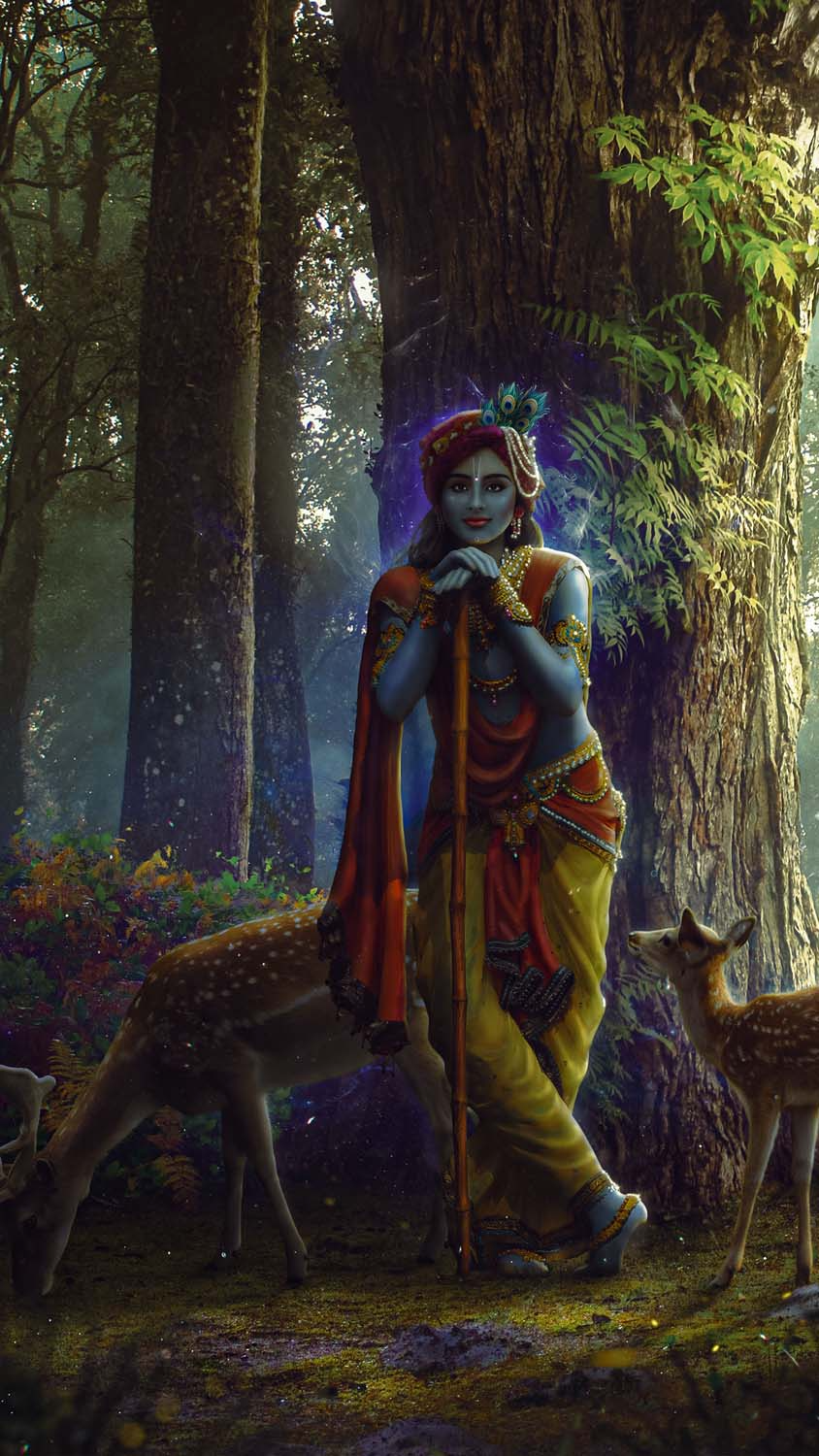 Shree Krishna iPhone Wallpaper HD
