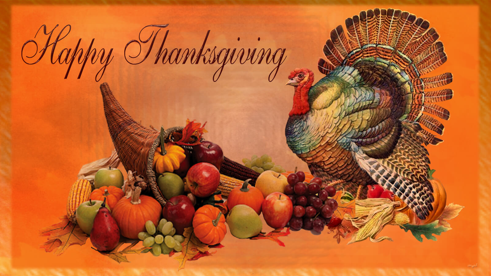Happy Thanksgiving Day Pumpkin Turkey Feast HD Wallpaper