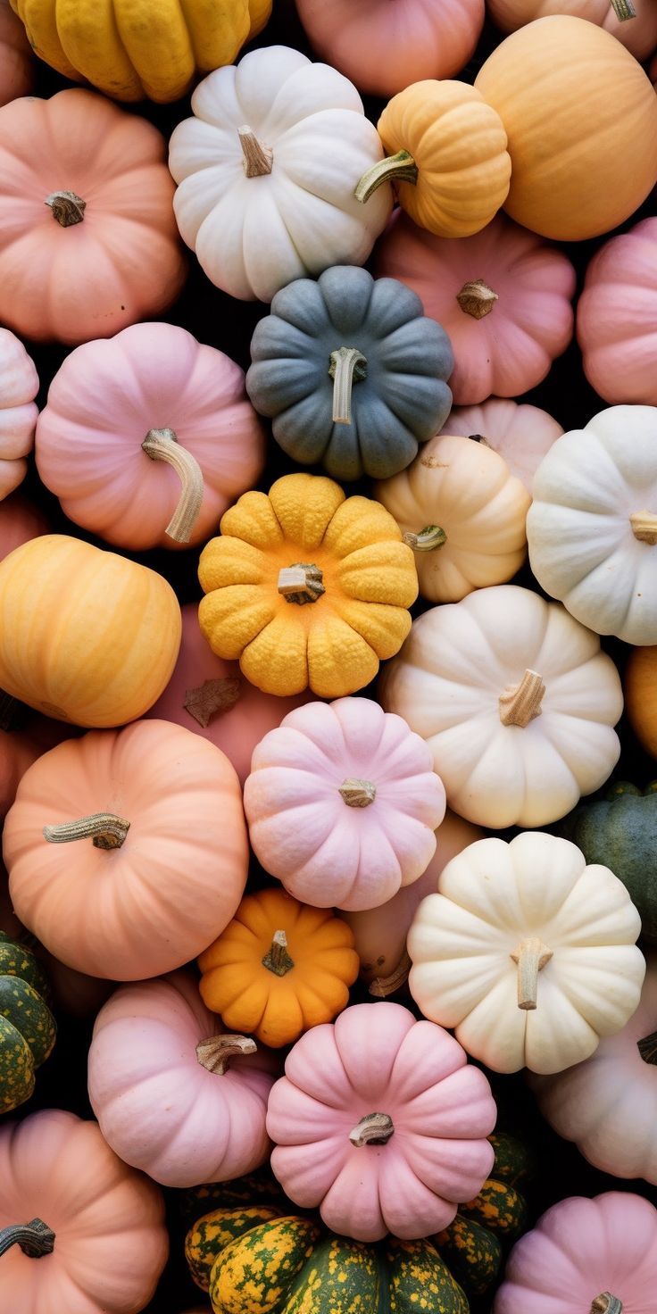 Gorgeous Fall Phone Wallpaper