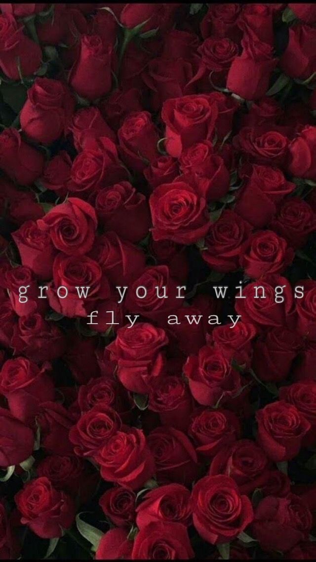 Xxxtentacion Wingriddenangel Wallpaper iPhone