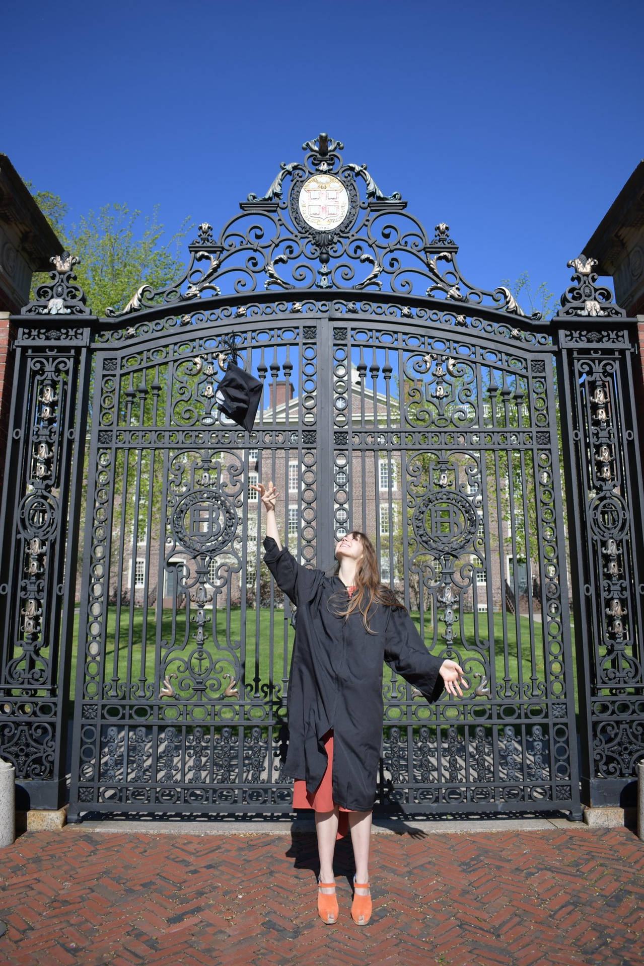Top Brown University Wallpaper Full HD 4k To Use