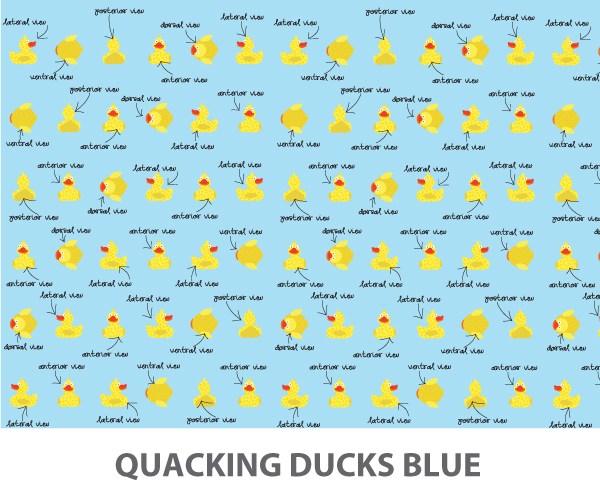 Quacking Ducks Wallpaper Pop And Lolli