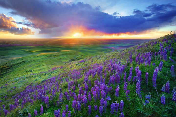 From Texas Hill Country Image By Kevin Mcneal