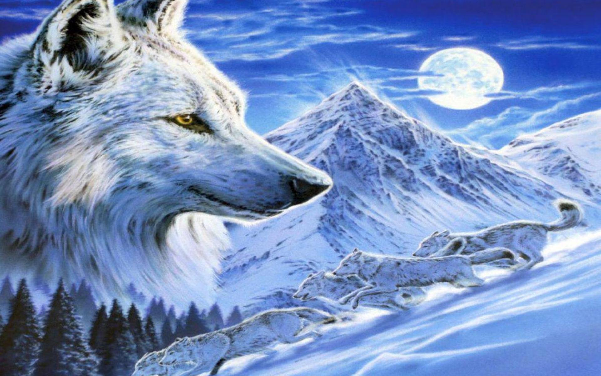 Ice Cool Wolf Backgrounds