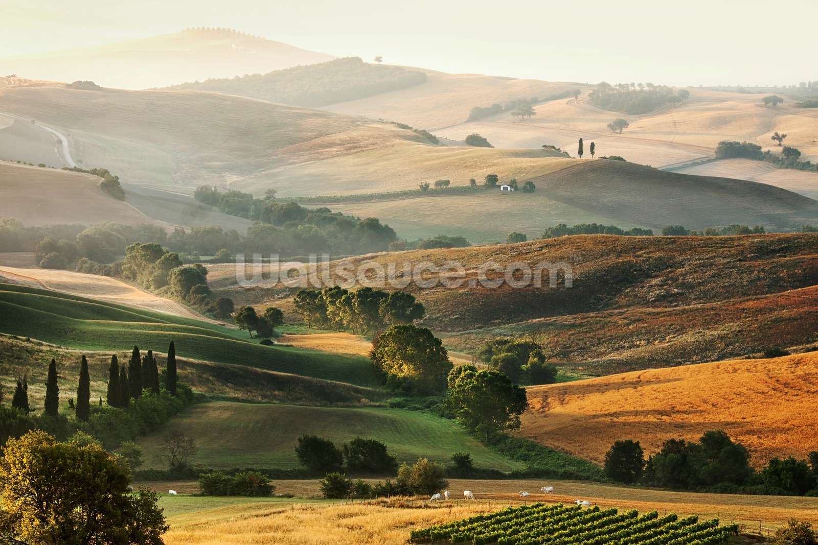Beautiful Italian Countryside Tuscany Wall Mural