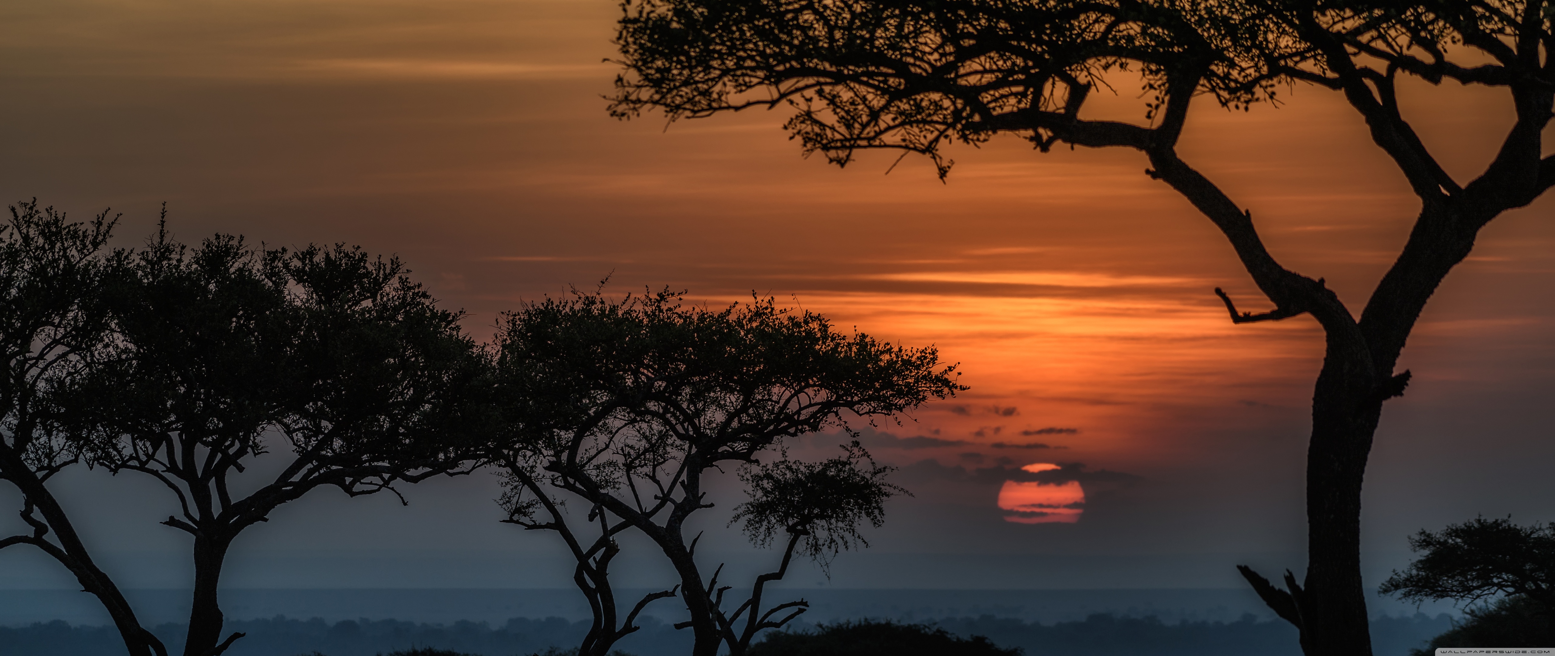 Sunrise In Masai Mara Kenya Africa Ultra HD Desktop Background