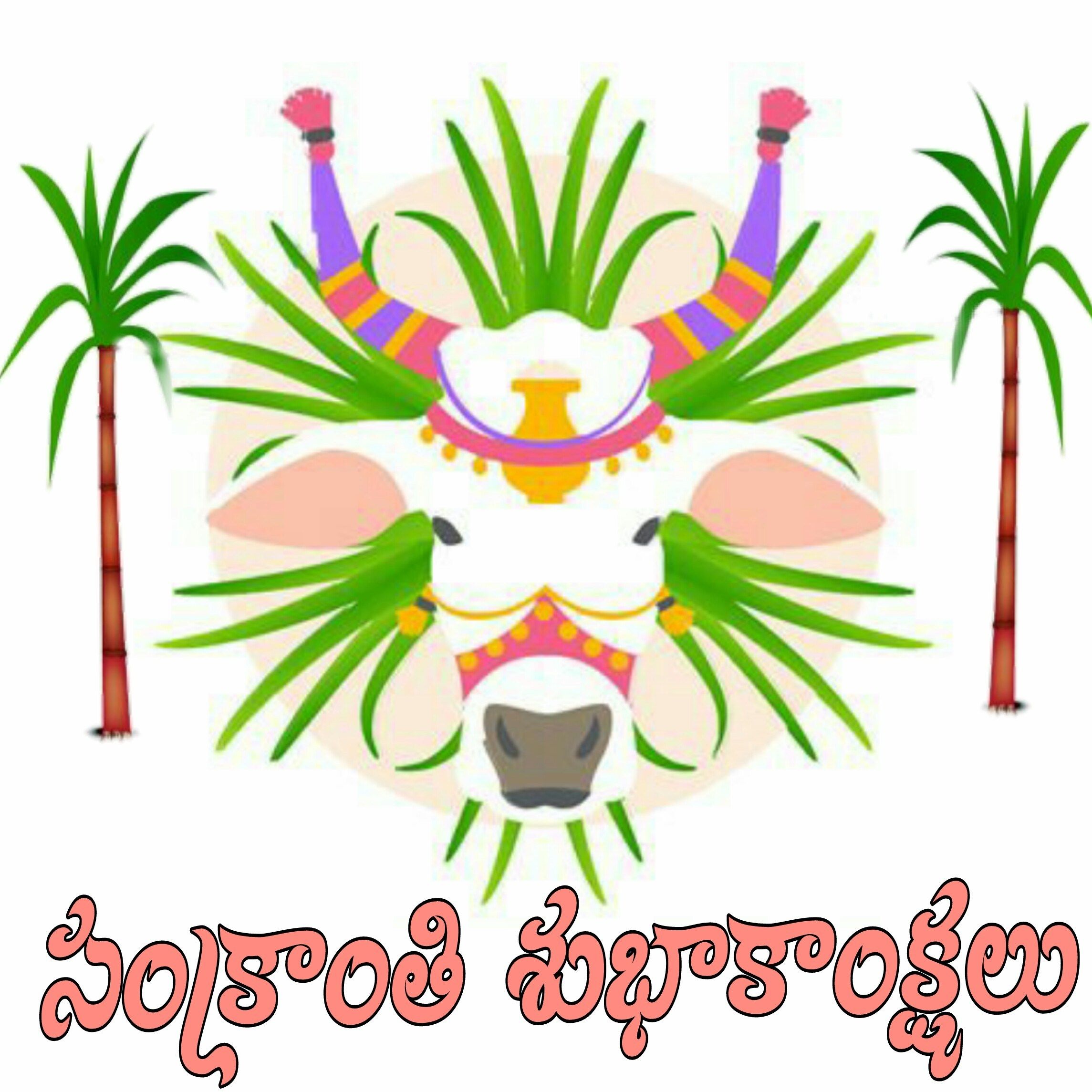 Makara Sankranti Image In Telugu