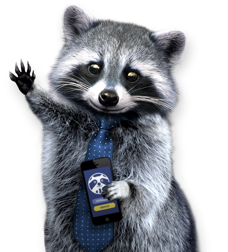 Raccoon Background Png Picpng