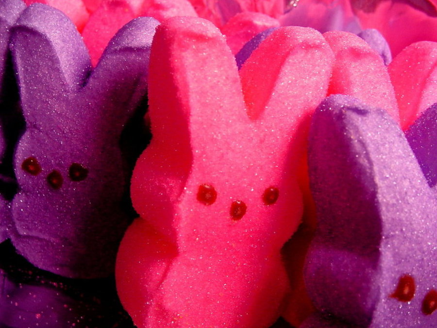 Peeps Wallpaper Pink and purple bunny peeps by 900x675