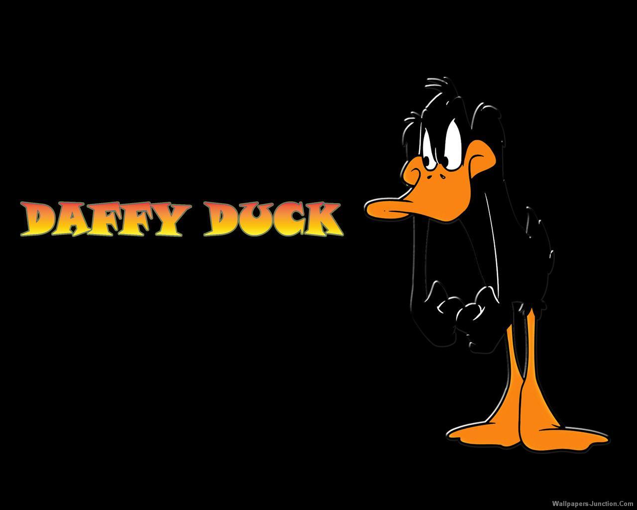 Daffy Duck Wallpaper