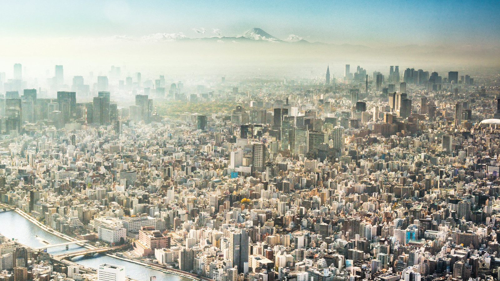 Tokyo Skyline Mount Fuji 4k Wallpaper Desktop Backgrou