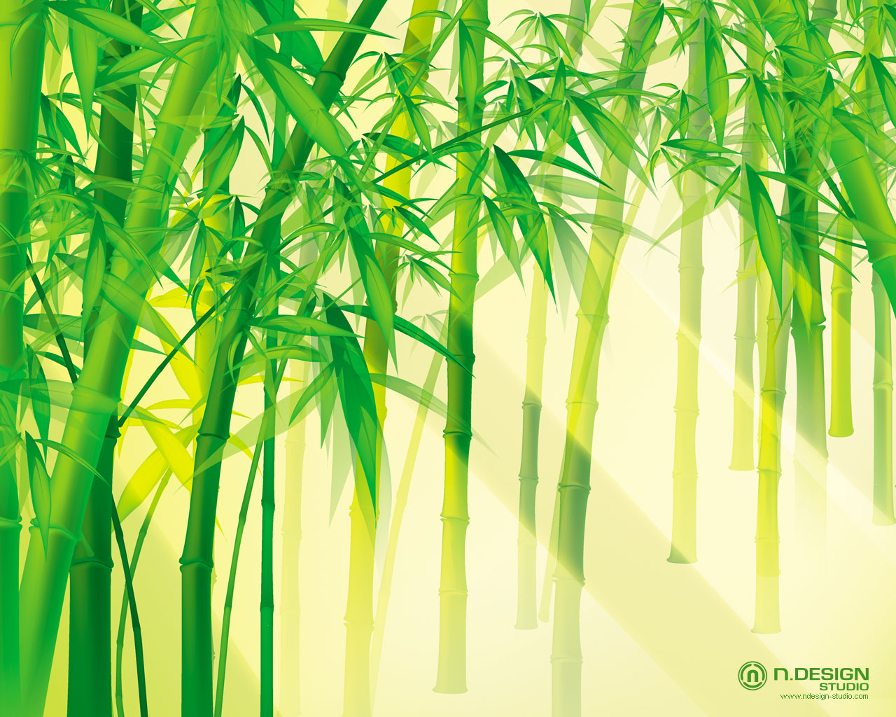 Posted By Smitt Labels Bamboo Wallpaper
