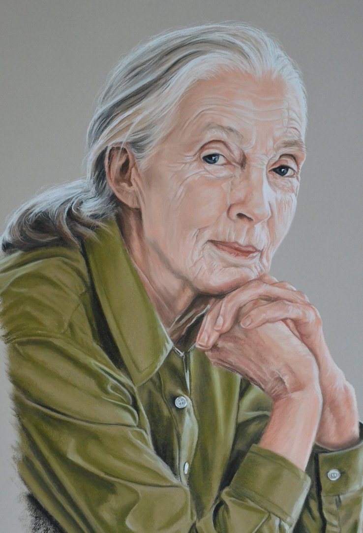 Jane Goodall Portrait Focus By Andromaque78