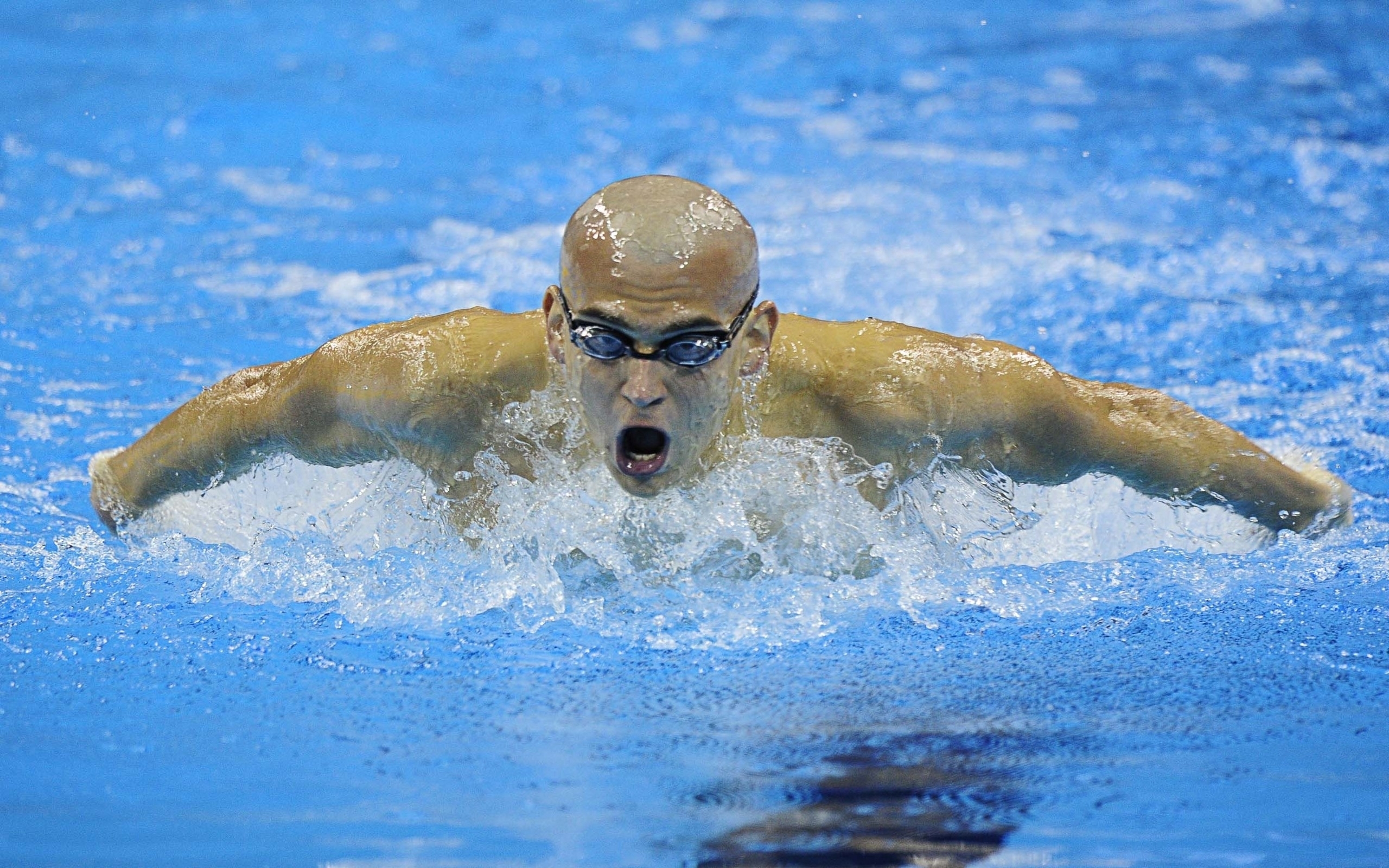 Wallpaper Swimming Olympics Pools Athletes Hungarian