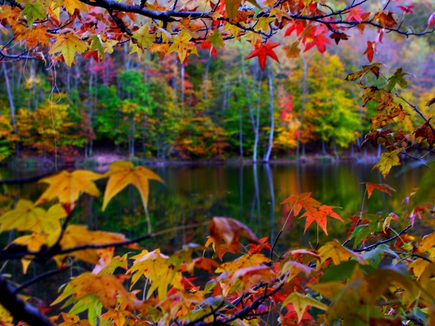 Autumn Leaves Frame Desktop Wallpaper