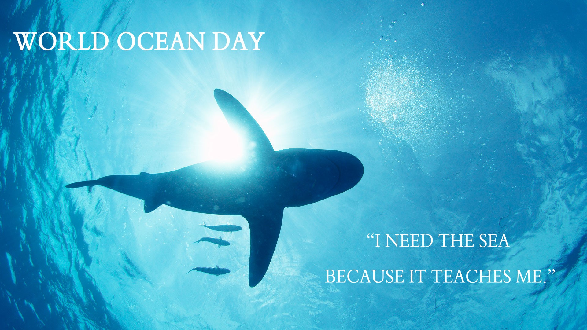 International World Oceans Day HD Pictures And Ultra Wallpaper