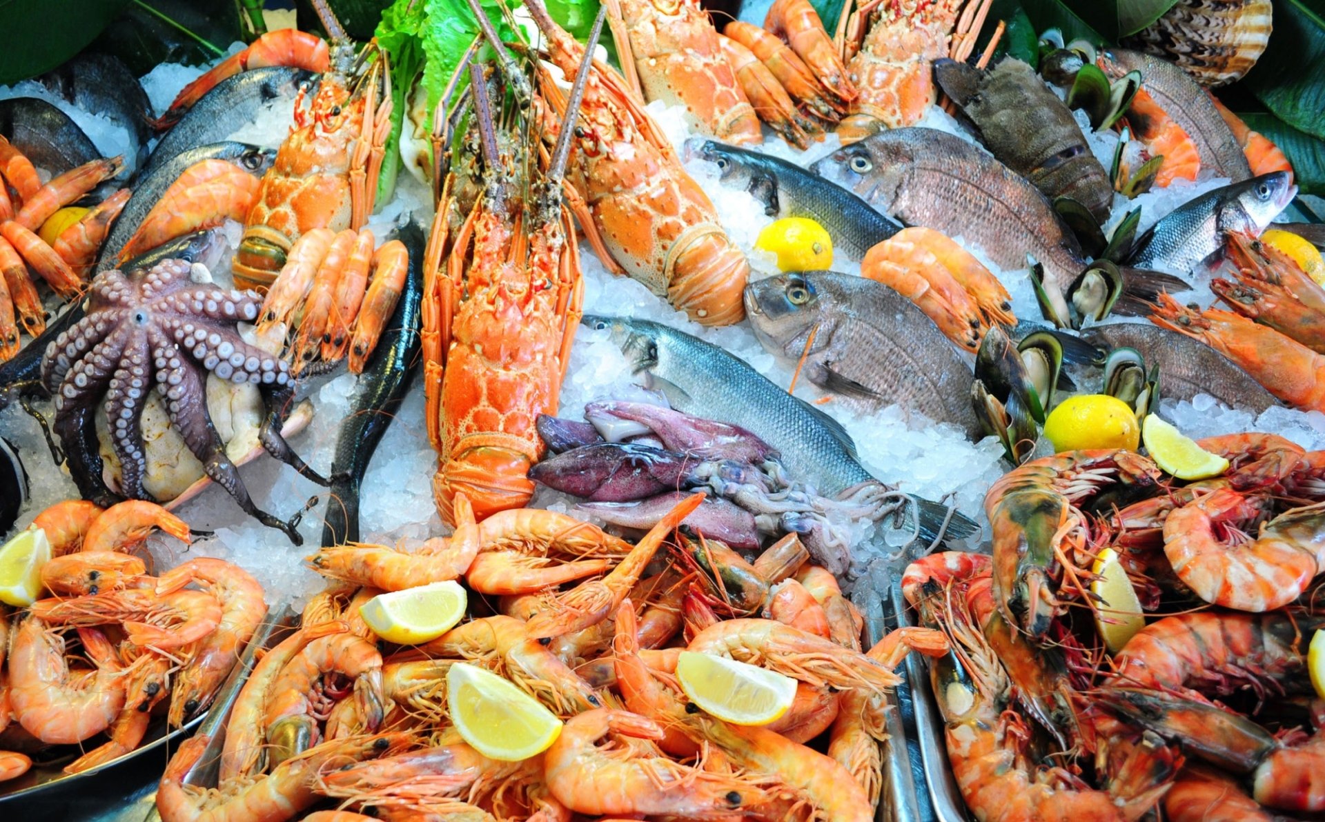 Shrimp Fish Food Seafood HD Wallpaper