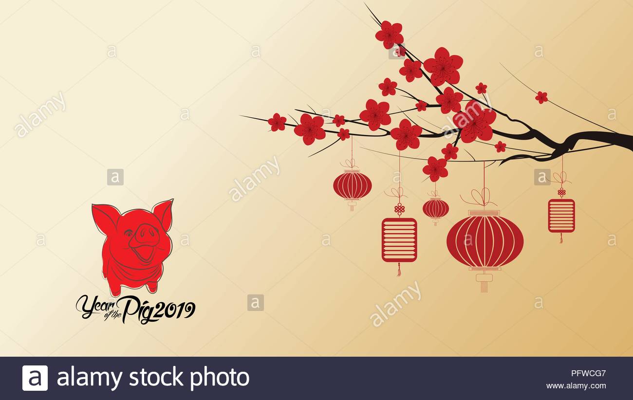 Chinese New Year With Blossom Wallpaper Of The Pig