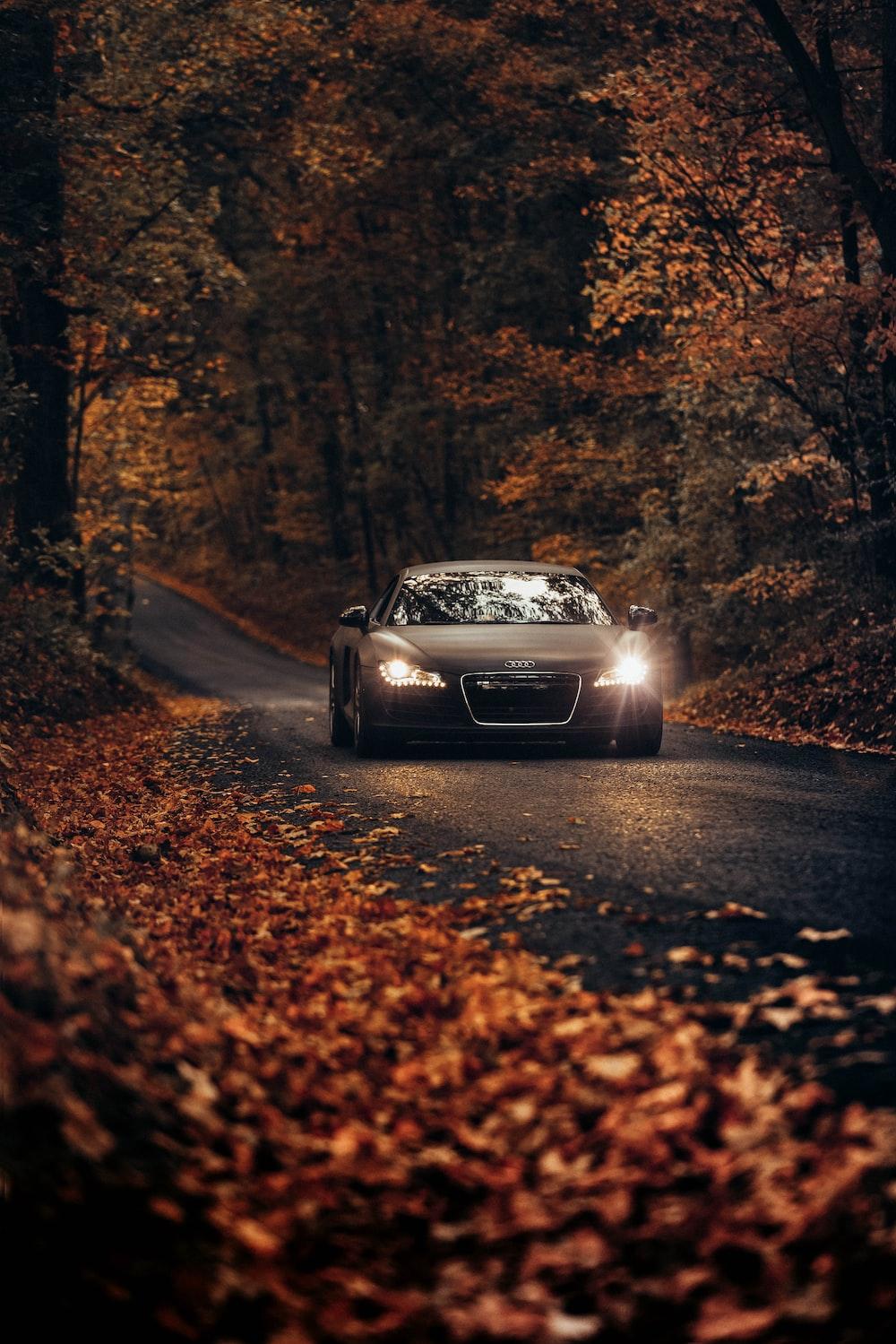 500 Audi Wallpapers [HD] Download Free Images On