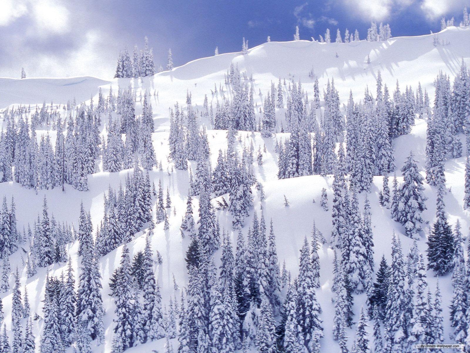 Winter Wonderland Desktop Backgrounds